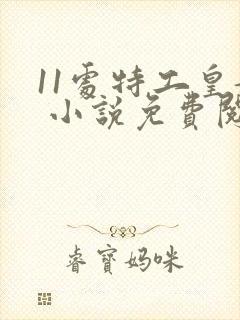 11处特工皇妃 小说免费阅读完本