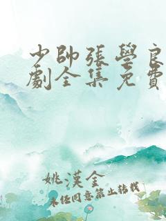 少帅张学良电视剧全集免费观看90