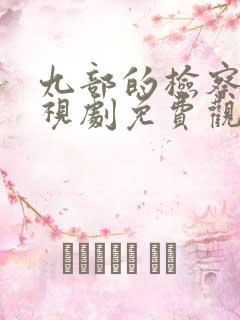 九部的检察官电视剧免费观看