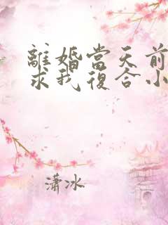 离婚当天前夫跪求我复合小说全集