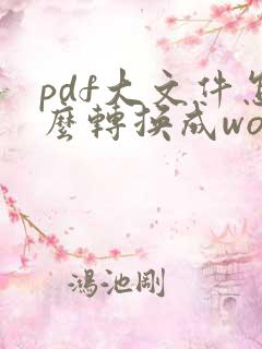pdf大文件怎么转换成word