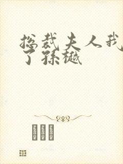 总裁夫人我当腻了孙樾