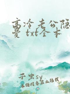 高冷老公隐婚蜜爱 txt全本