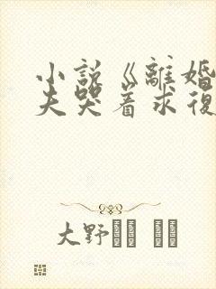 小说《离婚后前夫哭着求复婚》