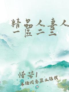 精品人妻人妻人一区二三