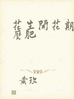 花生开花期用什么肥