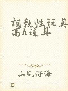 调教性玩具np高h道具