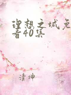 理想之城免费观看40集