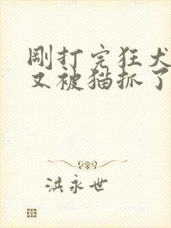刚打完狂犬疫苗又被猫抓了