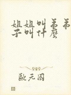 姐姐叫弟弟的儿子叫什么