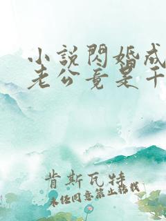 小说闪婚成宠,老公竟是千亿大佬