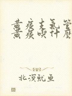 黄痰支气管炎咳黄痰吃什么可化痰