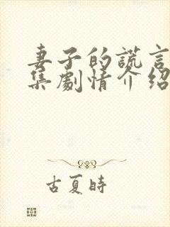 妻子的谎言多少集剧情介绍大结局