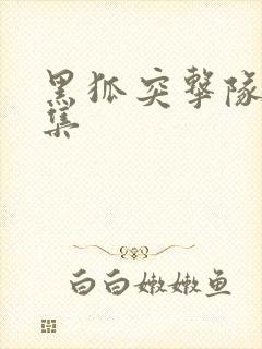 黑狐突击队58集