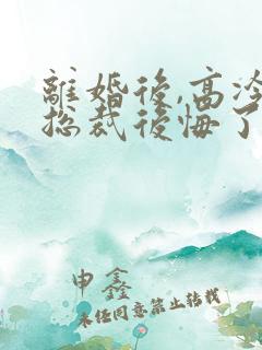 离婚后,高冷女总裁后悔了全本