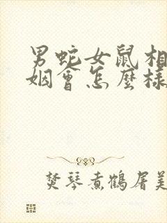男蛇女鼠相配婚姻会怎么样