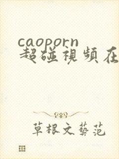 caoporn超碰视频在线