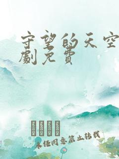 守望的天空电视剧免费