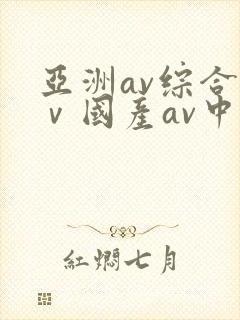亚洲av综合aⅴ国产av中文