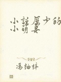 小说厉少的闪婚小萌妻