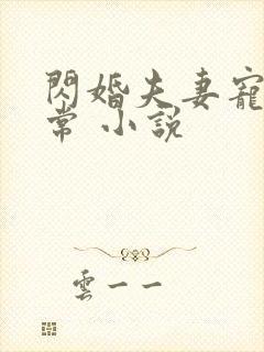 闪婚夫妻宠娃日常 小说