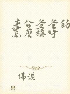 老公爸爸的姐姐怎么称呼