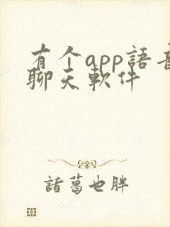有个app语音聊天软件