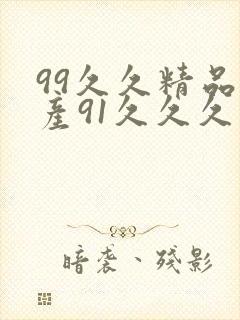99久久精品国产91久久久