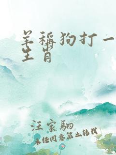 羊称狗打一最佳生肖