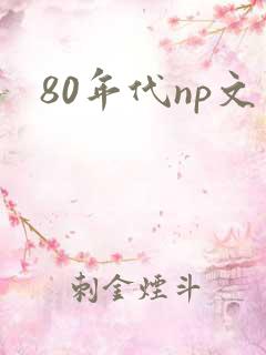 80年代np文