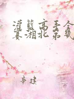 灌篮高手全国大赛湘北第几名