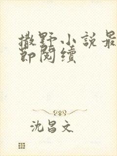 撒野小说最新章节阅续