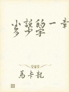 小说的一章大概多少字
