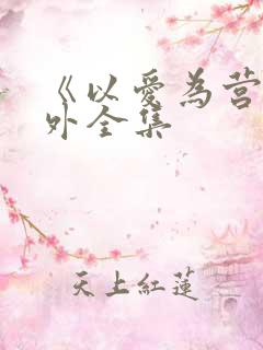 《以爱为营》番外全集