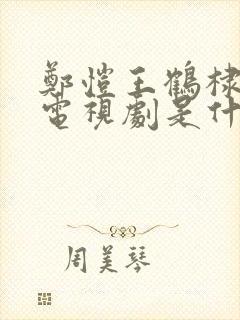 郑恺王鹤棣演的电视剧是什么名字