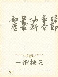 都是仙尊归来洛尘最新章节原版