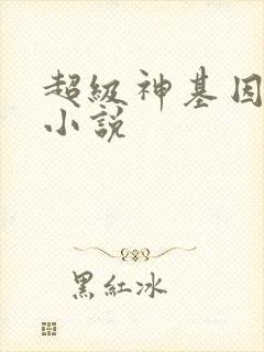 超级神基因顶点小说