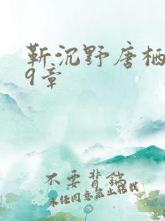 靳沉野唐栖雾第9章
