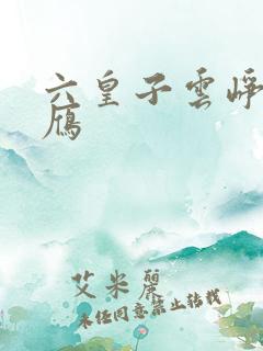 六皇子云峥沈落雁