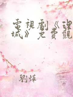 电视剧《理想之城》免费观看40集