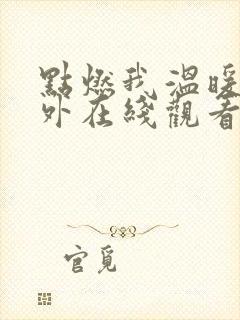 点燃我温暖你番外在线观看