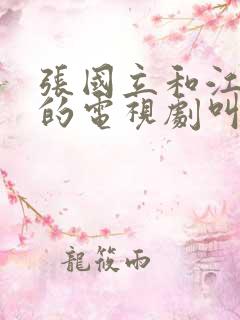 张国立和江珊演的电视剧叫什么名字
