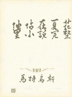 他站在夏花绚烂里小说完整