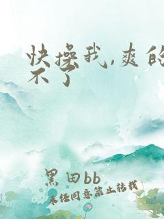 快操我,爽的受不了