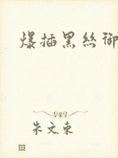 爆插黑丝御姐