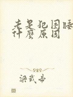老是犯困睡不醒什么原因