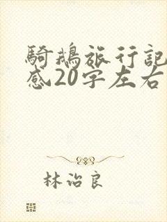 骑鹅旅行记读后感20字左右