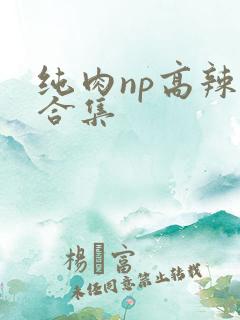 纯肉np高辣文合集