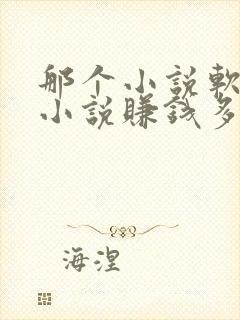 那个小说软件写小说赚钱多