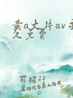 黄a大片av永久免费